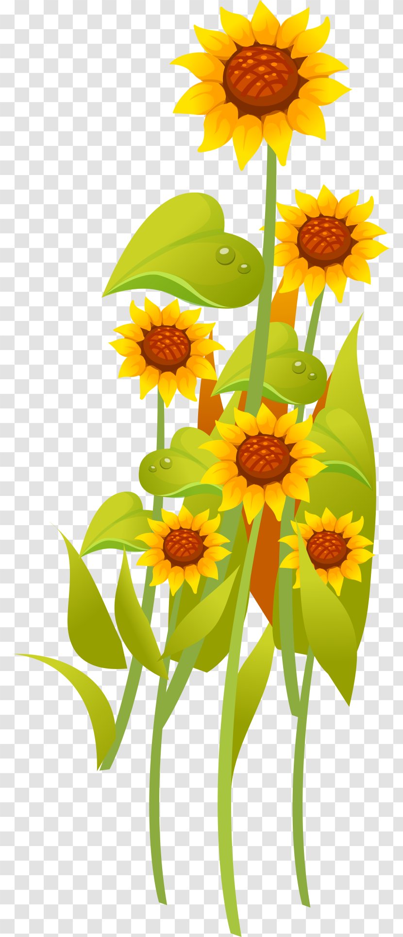 Common Sunflower Yellow Illustration - Hand-painted Transparent PNG