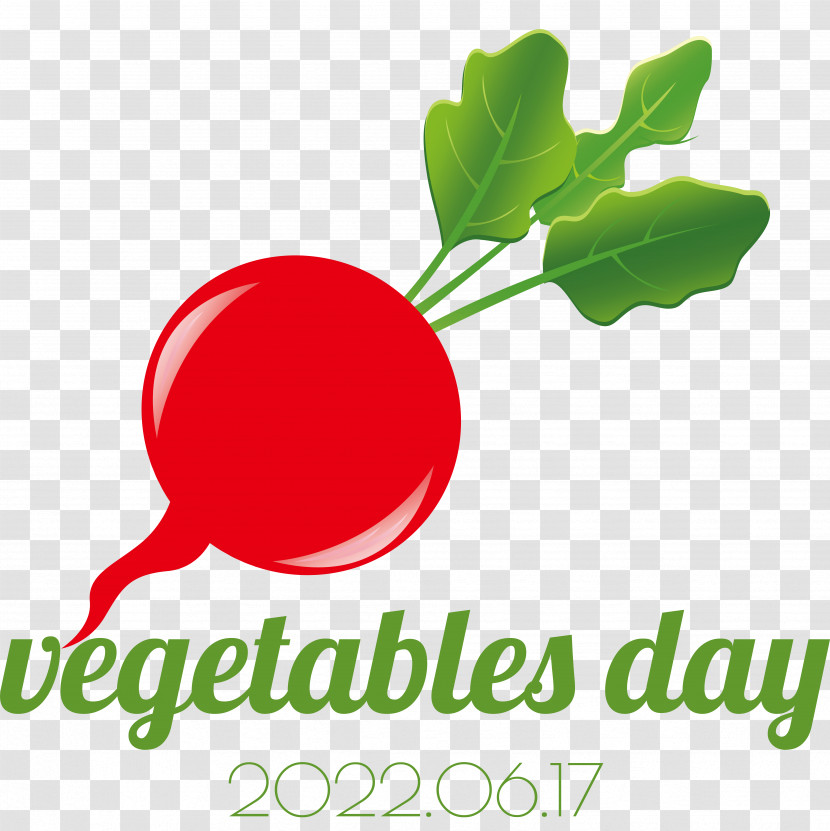 Vegetable Logo Superfood Leaf Radish Transparent PNG