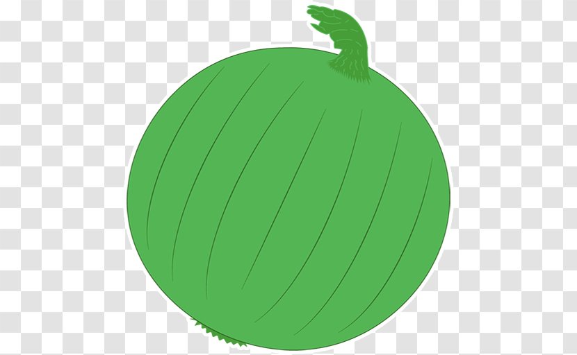 Fruit - Torcedor Transparent PNG