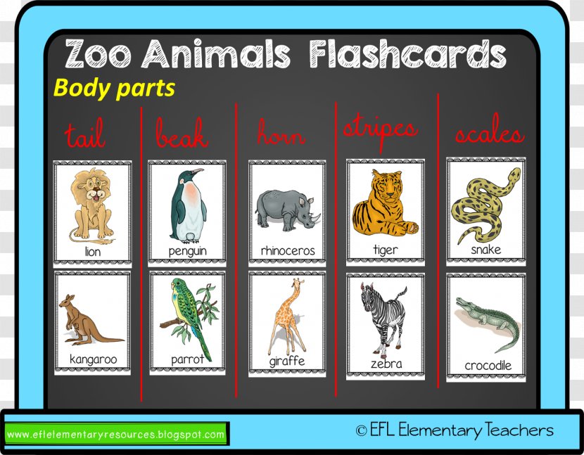 English As A Second Or Foreign Language English-language Learner Learning Vocabulary - Zoo Part Transparent PNG