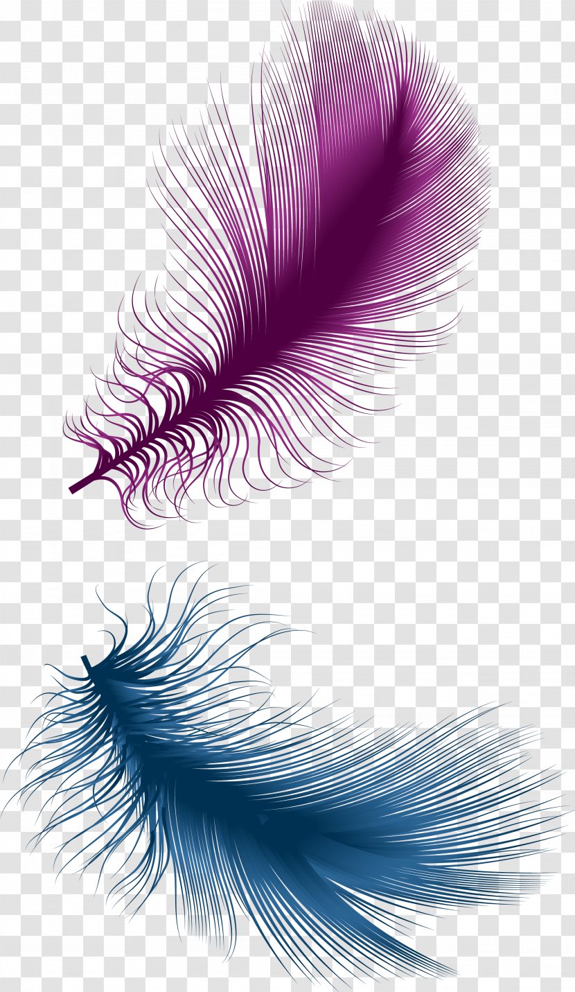 Feather Purple - Quill Transparent PNG