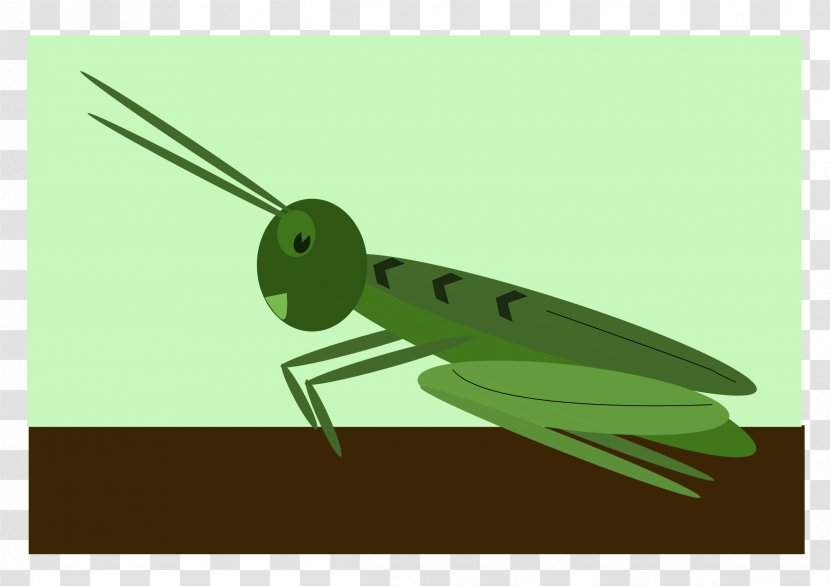 Jiminy Cricket Sound Effect Chirp - Watercolor - Grasshopper Transparent PNG