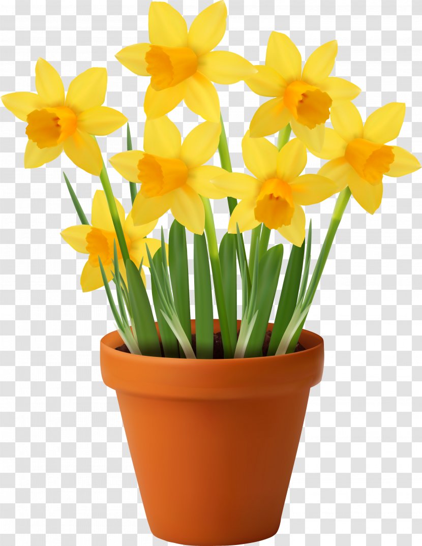 Vector Graphics Flowerpot Royalty-free Stock Photography Illustration - Plant - Narcis Transparent PNG