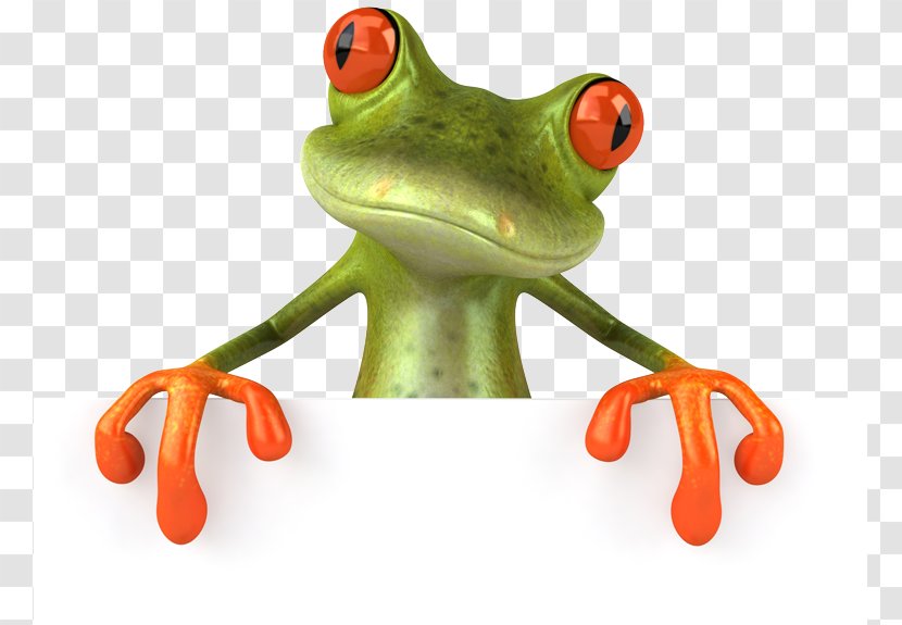 Frog Stock Photography Toad - Vertebrate Transparent PNG