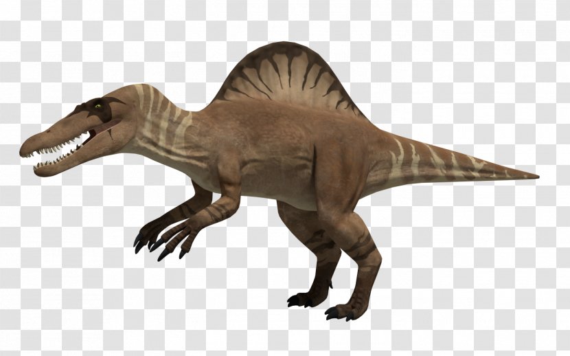 Tyrannosaurus Spinosaurus Acrocanthosaurus Dinosaur Troodon - Jurassic Park - Rex Transparent PNG