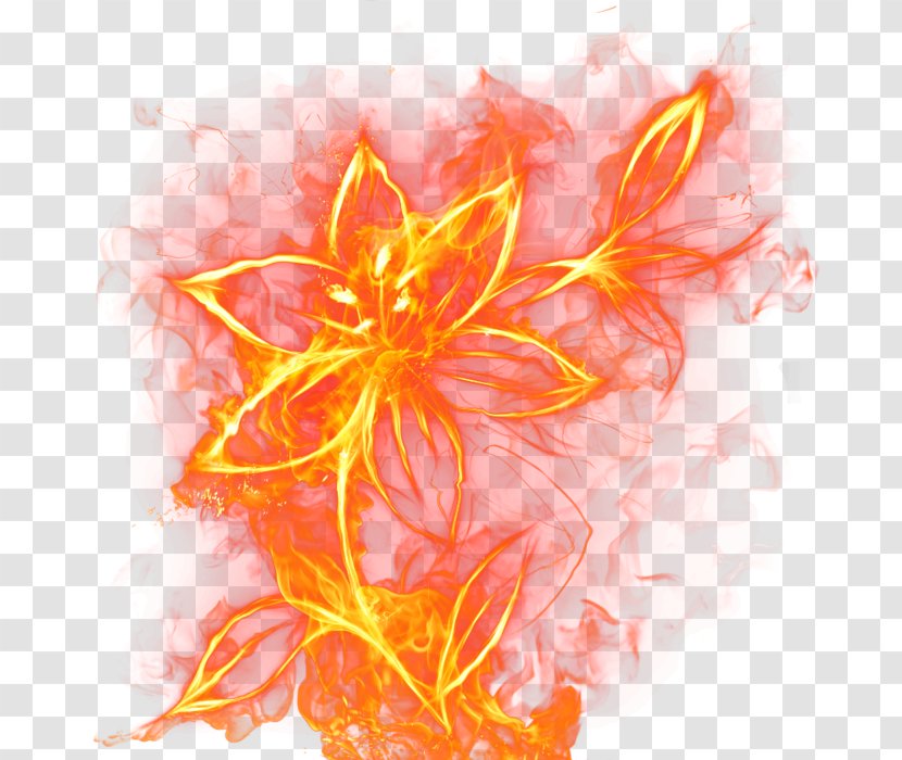 Flower Fire Rose Flame Clip Art Transparent PNG