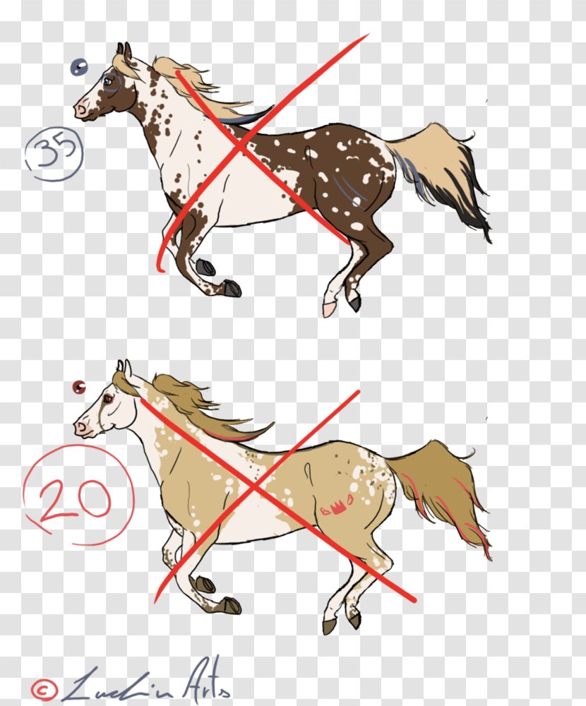 Pony Mustang Bridle Pack Animal Mane - Rein - Painted Horse Transparent PNG