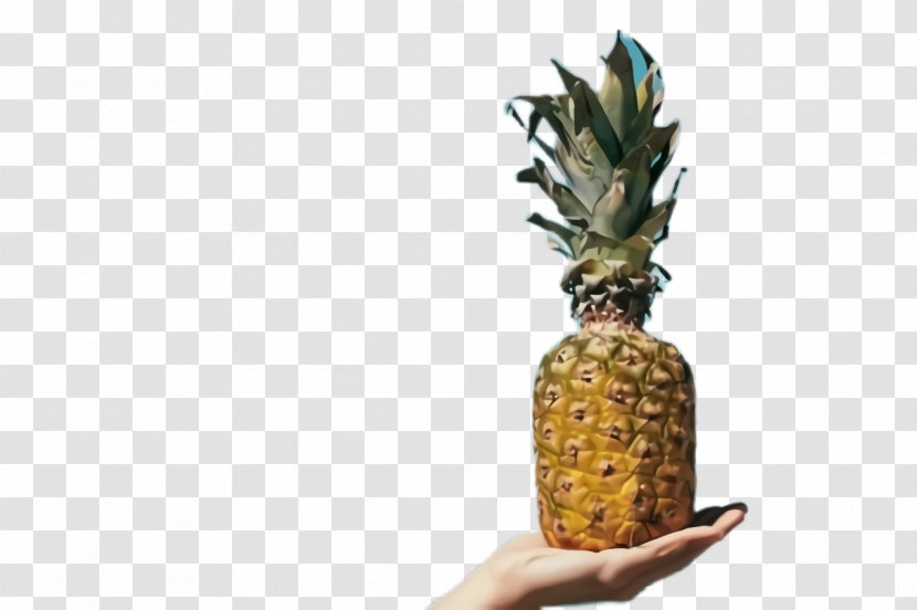 Pineapple - Ananas - Food Plant Transparent PNG