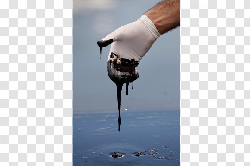 Deepwater Horizon Oil Spill Gulf Of Mexico Macondo Prospect - Slick Transparent PNG