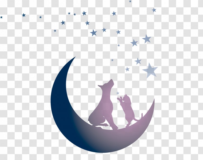 Tails By Twilight Gala Cat YouTube The Saga - Moon Background Transparent PNG