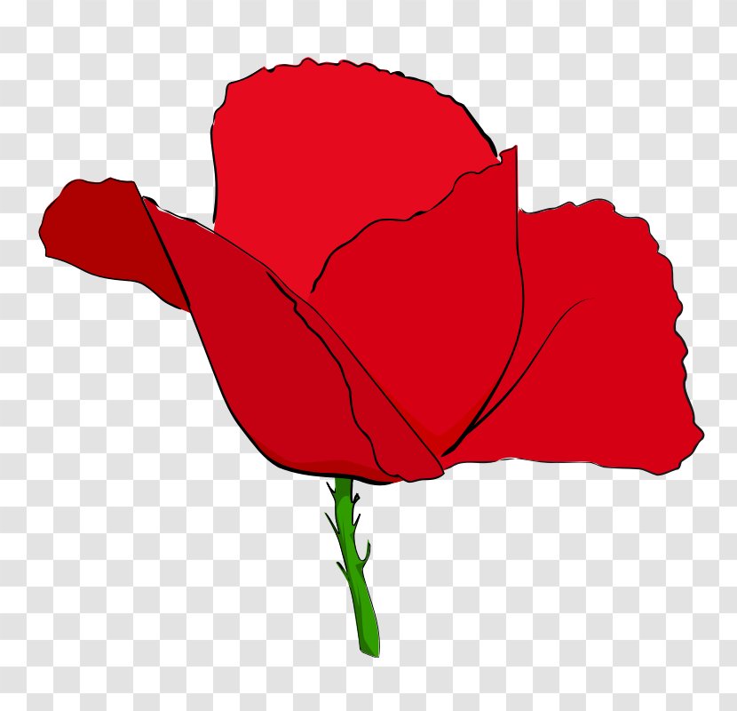 Remembrance Poppy Common Clip Art - Anzac Day - Poppies Transparent PNG