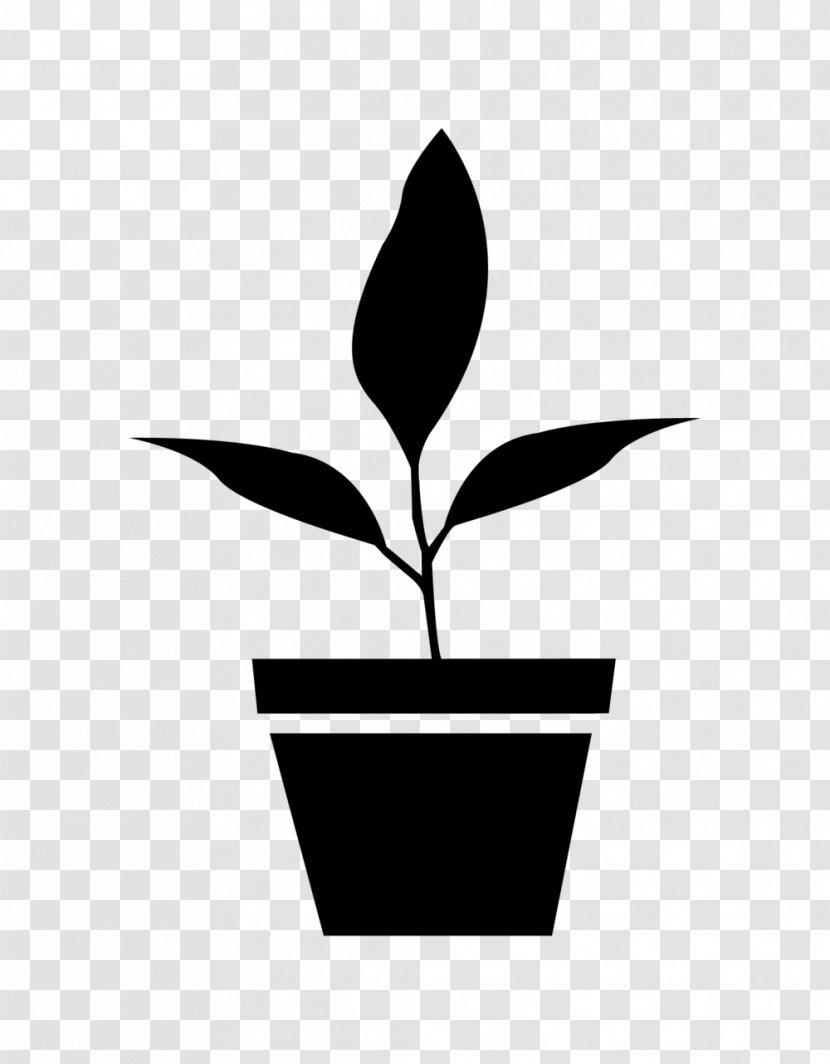 Grow Shop Flowerpot NATIVOS DE CHACAYES Fertilisers Nursery - Silhouette - Reed Street Transparent PNG