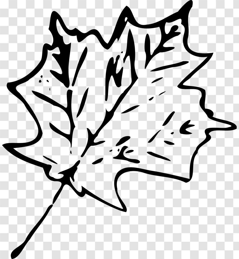 Maple Leaf Drawing Clip Art - Black And White Transparent PNG