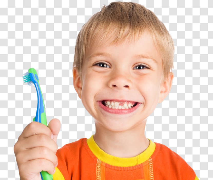 Pediatric Dentistry Child Human Tooth - Tree Transparent PNG