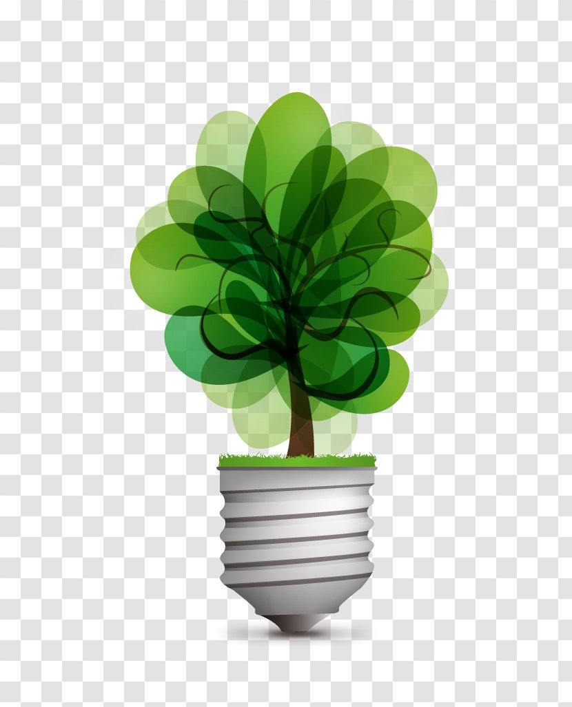 Incandescent Light Bulb Idea Renewable Energy - Color - Green Transparent PNG