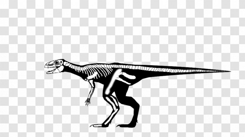 Tyrannosaurus Velociraptor Angle Animated Cartoon - Wing - Dinasor Transparent PNG