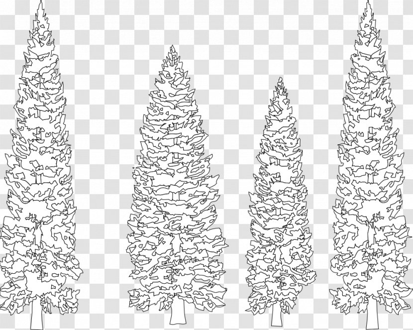 Pine Tree Fir Line Art Coloring Book - Black And White - Vector Transparent PNG