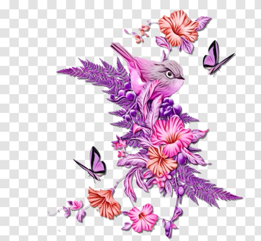 Hummingbird - Paint - Moths And Butterflies Transparent PNG