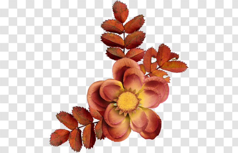 Centerblog Cut Flowers Petal Transparent PNG