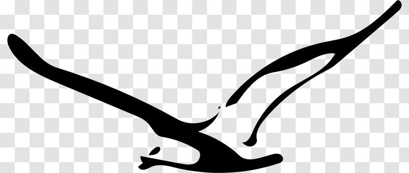 Gulls Great Black-backed Gull European Herring Clip Art - Seagull Flying Transparent PNG
