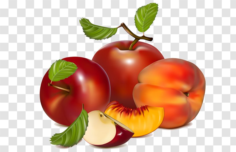 Fruit Clip Art - Royaltyfree - Apple Transparent PNG