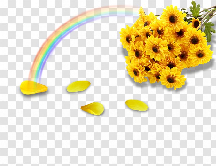 Color Clip Art - Rgb Model - Rainbow Chrysanthemum PSD Material Transparent PNG