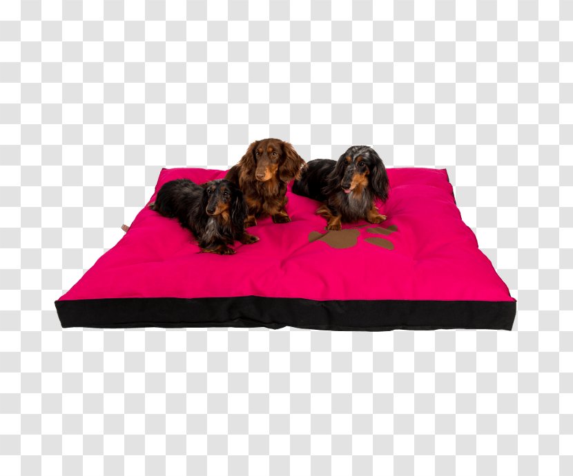 Dog Breed Mattress Pelechy Beds - Rectangle Transparent PNG