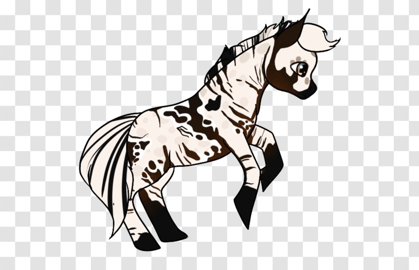 Mule Halter Mane Stallion Mustang - Yonni Meyer Transparent PNG