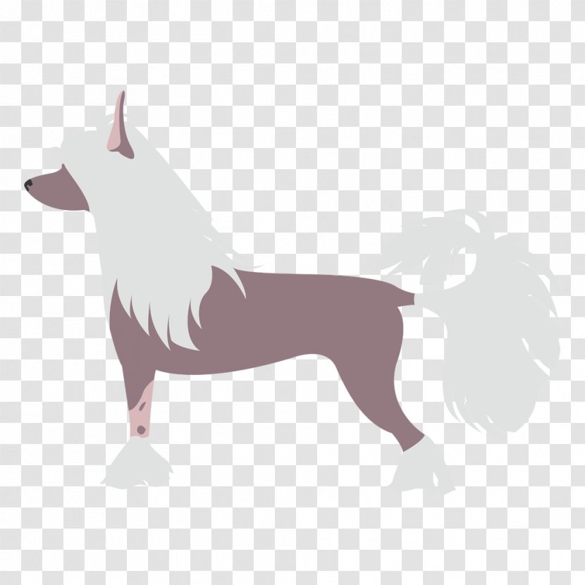 Dog Breed Maltese Chinese Crested Pekingese - What - Chino Transparent PNG
