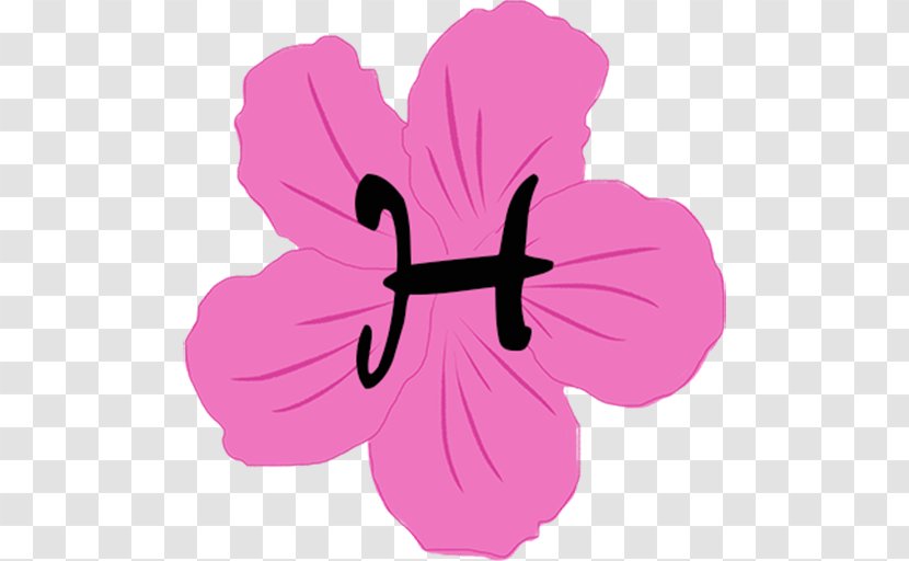 Hibiscus Pink M Petal Clip Art - Design Transparent PNG