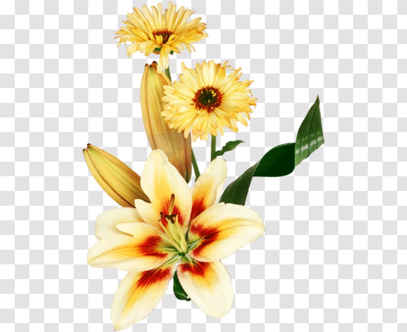 Flower Desktop Wallpaper Image Photograph - Floristry - Life Transparent PNG