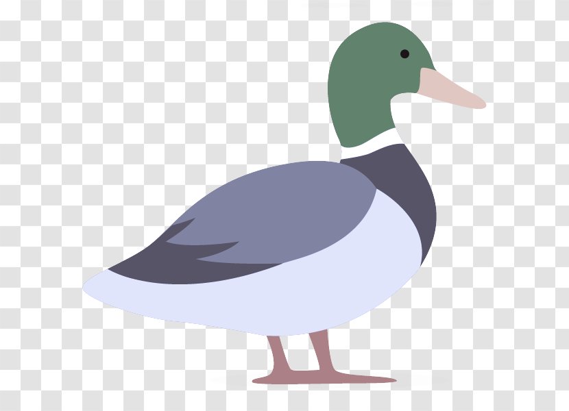 Bird Duck Beak Water Ducks, Geese And Swans - Mallard - Goose American Black Transparent PNG