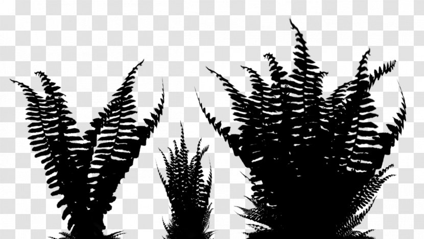 Black & White - Flower - M Tree Silhouette Grasses Transparent PNG