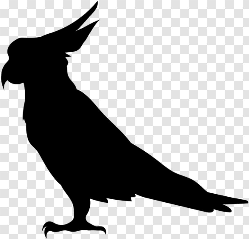 Bird Parrot - Crow Raven Transparent PNG