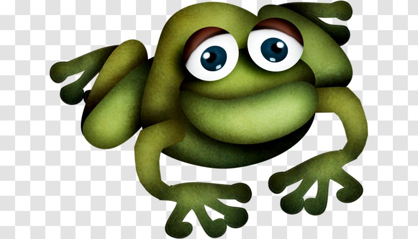 Toad Photography True Frog Clip Art - Green Transparent PNG