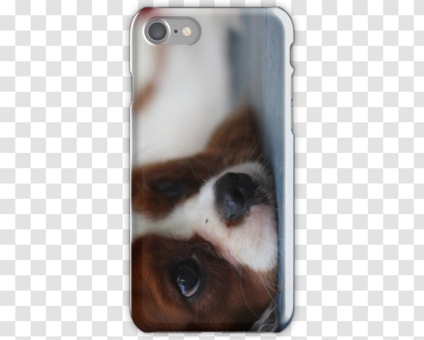 Dog Snout Whiskers Mobile Phone Accessories Phones Transparent PNG