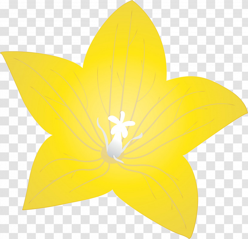 Flower Petal Yellow Flora Symmetry Transparent PNG