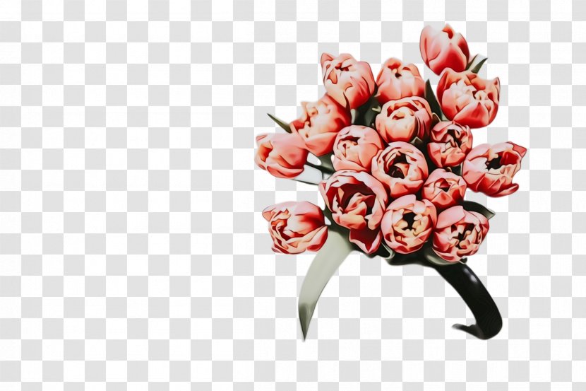 Floral Spring Flowers - Flora - Lily Family Bud Transparent PNG