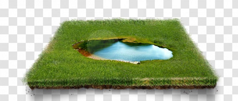 Download Computer File - Grass - Beautifully Fresh Lake Transparent PNG