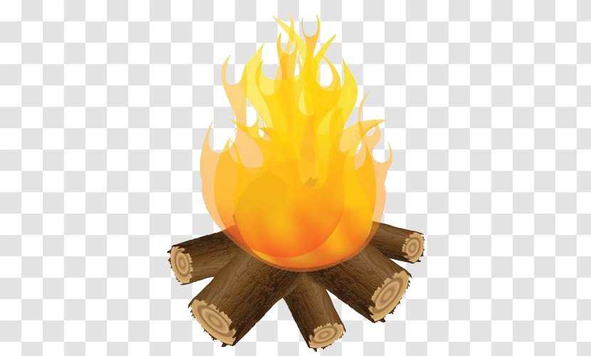 Flame Light Fire - Combustion Transparent PNG