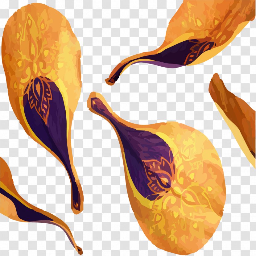 Orange Petal - Vintage Decorative Petals Transparent PNG