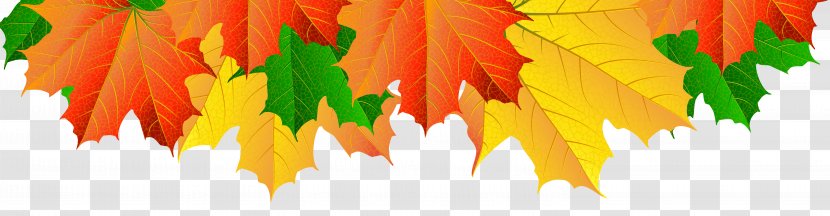 Image File Formats Lossless Compression - Data - Fall Leaves Border Clip Art Transparent PNG
