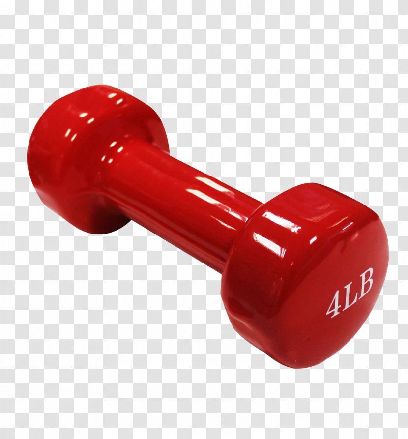 Dumbbell Weight Training Exercise Equipment Barbell Physical Fitness - Bodybuilding - Flamingo Transparent PNG