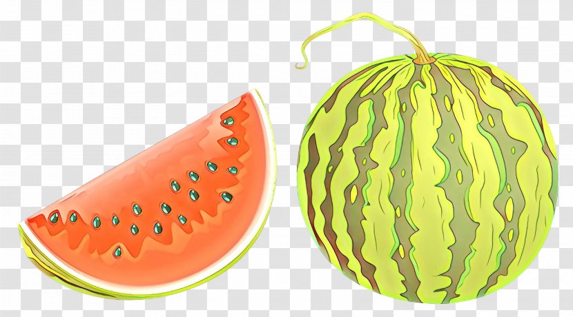 Watermelon - Plant - Citrullus Transparent PNG