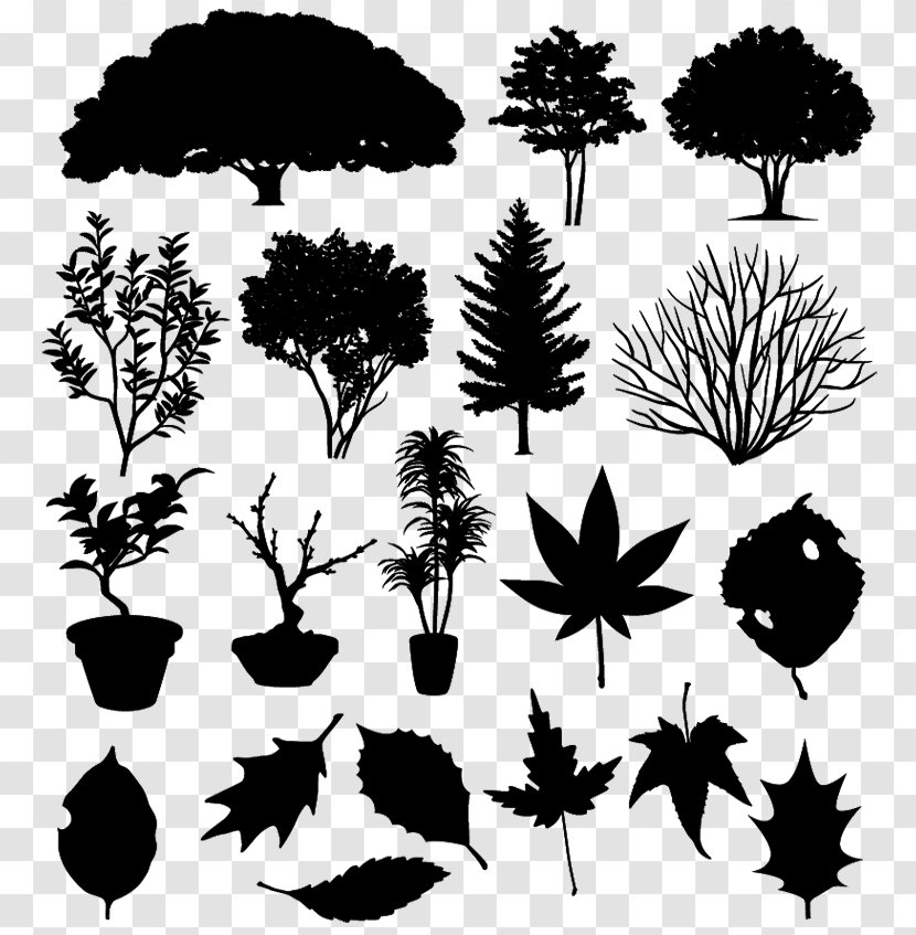 Silhouette Royalty-free Tree - Grass - Bonsai Transparent PNG