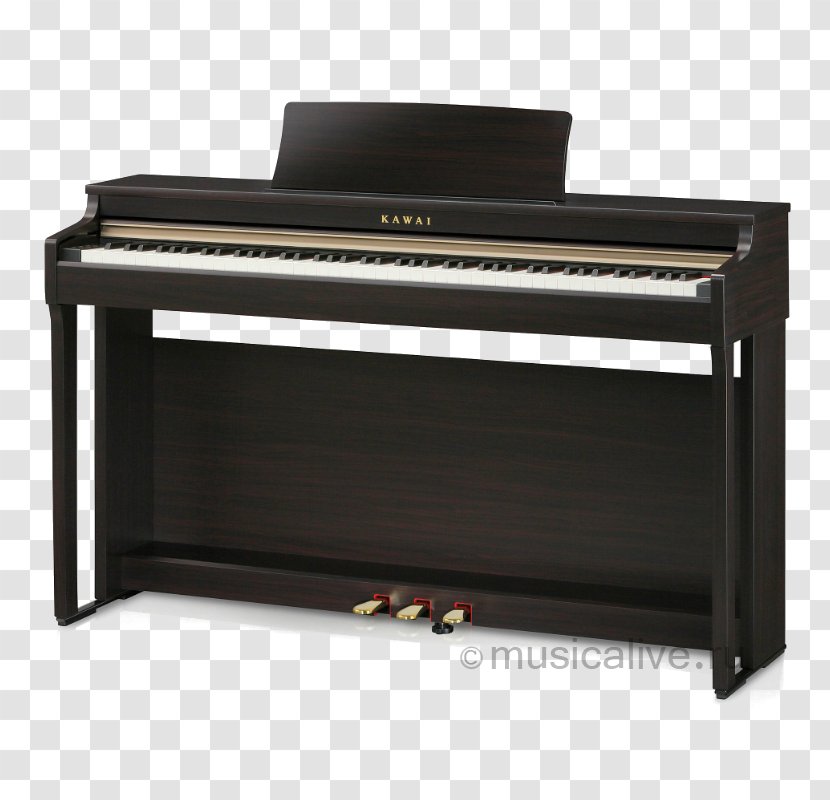 Digital Piano Kawai Musical Instruments Action Keyboard - Flower Transparent PNG