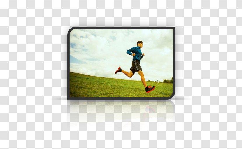 Sport Running Exercise Coach سندرم متابولیک - Human Body - Gardan Transparent PNG