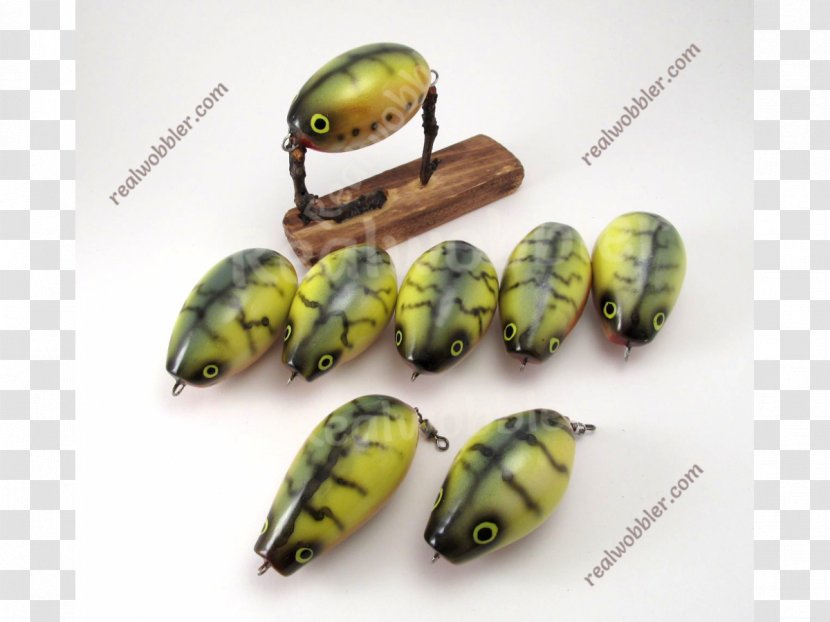 Beetle Fishing Bait Insect Transparent PNG