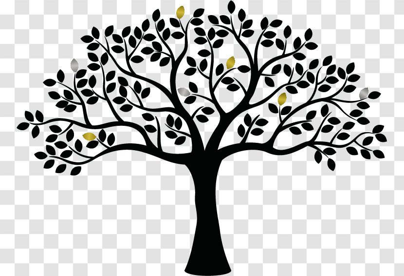 Family Tree Clip Art - Stock Photography Transparent PNG