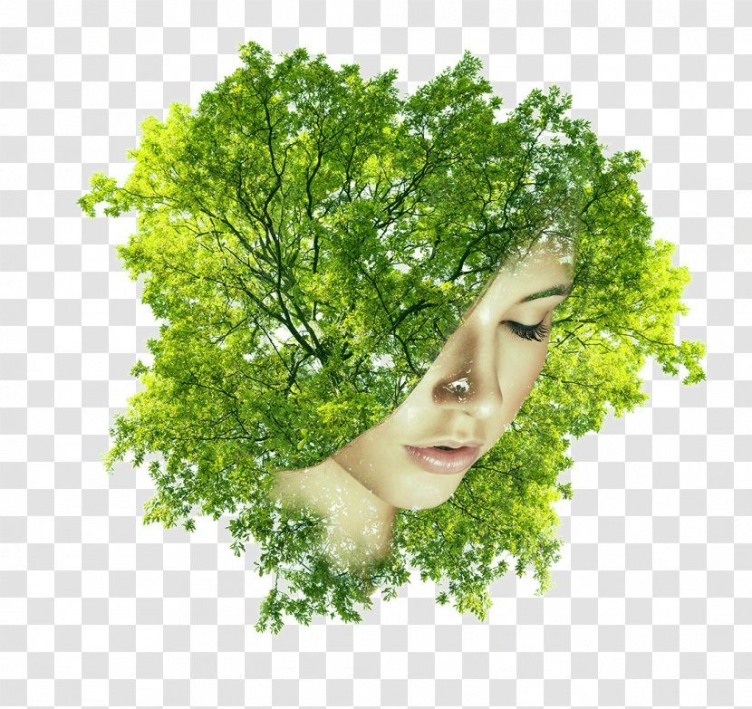 Woman Multiple Exposure - Plant - By Trees Covered Half Of His Face Female Head Transparent PNG